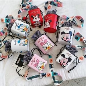 Disney Bag